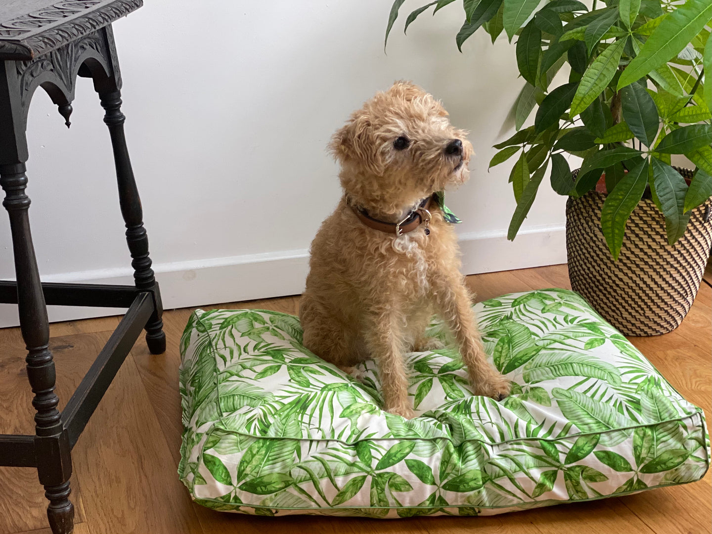 Cream tropical leaf print pet bed